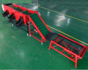 'Ya'yan itace da kayan ado na kayan lambu